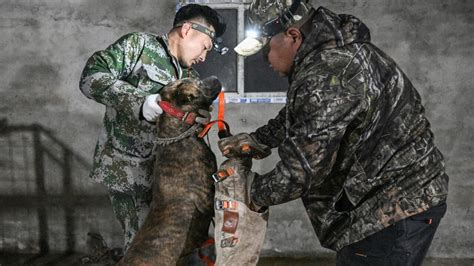 China’s boar hunters attract fame and concern